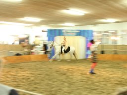 IMG_5156_web